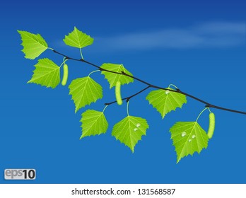 Realistic branch of birch with green leaves
