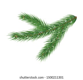 Realistic branch of christmas tree isolated on white background. Merry Christmas and Happy New Year decoration. Green pine tree branch vector illustration. Conifer plant detailed 3d element.