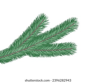 The realistic branch of the Christmas tree is isolated on a white background. Flat vector illustration