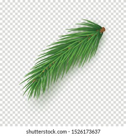 Realistic branch of christmas tree on transparent background. Green spruce tree branch vector illustration. Evergreen bushy plant detailed 3d element. Merry Christmas and Happy New Year decoration.