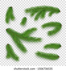 Realistic branches of christmas tree isolated on transparent background. Merry Christmas and Happy New Year decorations. Green fir tree branches vector illustration. Conifer plant detailed elements.