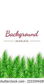 Realistic branches pine on white background. Christmas isolated vector illustration Seamless decor spruce for banner, poster, package or holiday card decoration