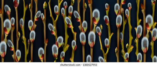 Realistic branches of willow with bud and fluffy catkins on a dark emerald background. Vector rectangular illustration, postcard, poster.