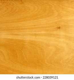 Realistic bright plywood texture. Vector background for your design.