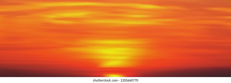 Realistic bright sunset, panoramic image, vector background, EPS10