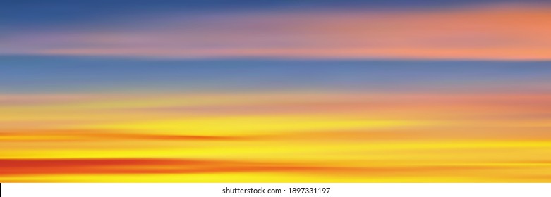 Realistic bright sunset, panoramic image, vector background