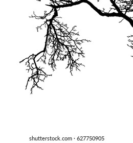 Realistic the broken branch silhouette (Vector illustration).Eps10