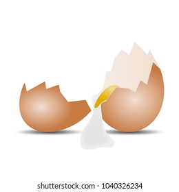 Realistic broken egg on white background, protein and yolk, vector