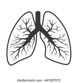 Realistic bronchi icon isolated on white background. Vector medical bronchi logo. 