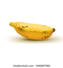 Realistic brown baby banana isolated on white background. Tropical fruit. Realistic vector illustration