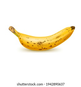 Realistic brown banana isolated on white background. Tropical fruit. Realistic vector illustration