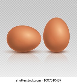 Realistic brown chicken eggs. Natural and healthy farm food vector illustration. Eggs farm natural, fresh food with shell