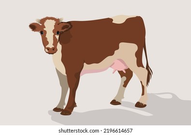 Realistic Brown Cow. Dairy Cattle. Swiss Brown, Ayrshire, Milking White And Brown Horns, Guernsey And Jersey Cow. Beef.