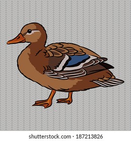 Realistic brown duck on a gray background, isolated
