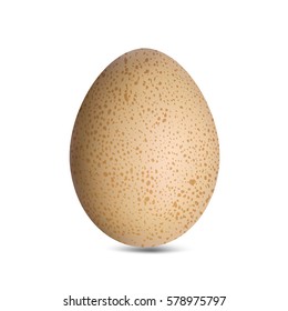 Realistic brown egg with spots. Vector illustration.