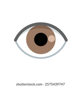 Realistic brown eye icon isolated on white background. Eye icon vector illustration. 