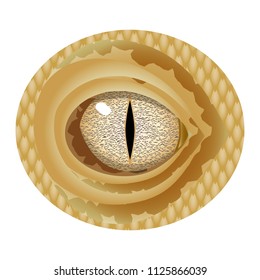 A realistic brown eye of a reptile with a narrow pupil and a speckled eyeball. Vector dragon eye.