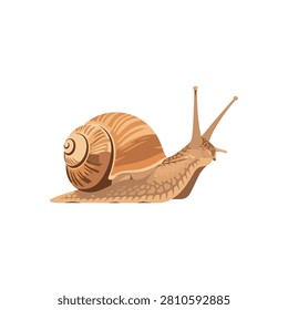 Realistic Brown Garden Snail Vector Illustration Isolated on White Background for Nature Design