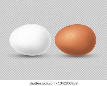 Realistic brown and white chicken eggs vector illustration