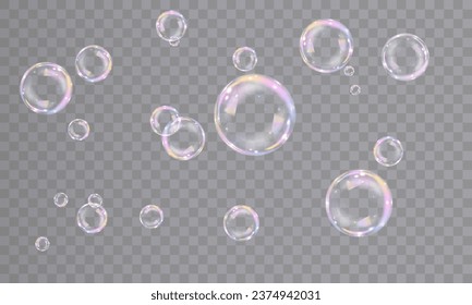 Realistic bubbles isolated on transparent background. Vector illustration of iridescent bubbles with shiny rainbow surface, bubble bath, symbol of freedom and childhood fun.