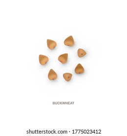 Realistic buchwheat for healthy eating. 3d render. Vector illustration isolated on white background.