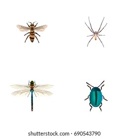 Realistic Bug, Damselfly, Spider And Other Vector Elements. Set Of Bug Realistic Symbols Also Includes Housefly, Bug, Spider Objects.