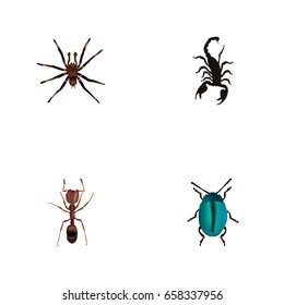 Realistic Bug, Emmet, Arachnid And Other Vector Elements. Set Of Bug Realistic Symbols Also Includes Pismire, Insect, Spider Objects.