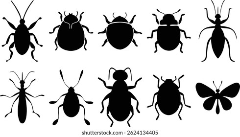 Realistic bug forms in simplified black vector silhouettes for versatile use.
