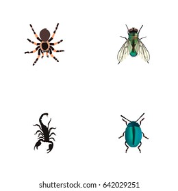 Realistic Bug, Poisonous, Housefly And Other Vector Elements. Set Of Hexapod Realistic Symbols Also Includes Scorpion, Insect, Spider Objects.