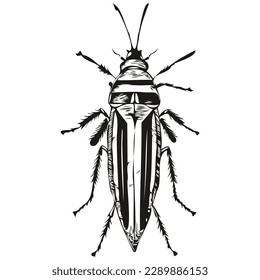 Realistic bug vector, hand drawn animal illustration bugs
