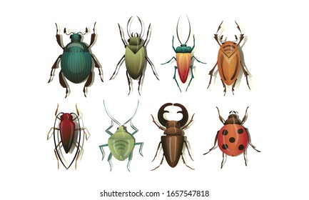 Realistic Bugs and Insects with Shadows Vector Set