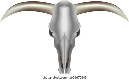 realistic bull skull with horns