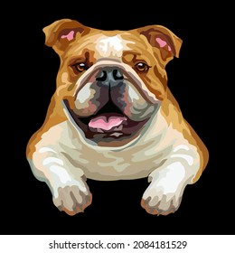 Realistic bulldog dog. Color vector illustration isolated on black background. For decoration, design, print, posters, postcards, stickers, t-shirt and embroidery