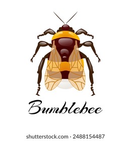 Realistic bumblebee design on a white background. Isolated design. 3d design of a beautiful bumblebee with shadows. As an element for a logo or packaging design