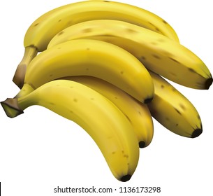 Realistic bunch of bananas