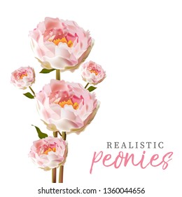 Realistic bunch of peonies isolated