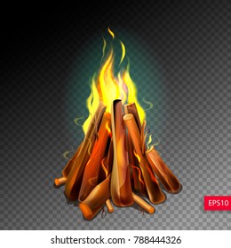 realistic burning bonfire with wood on transparence background, vector illustration