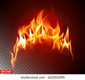 Realistic Burning Fire Flame Shiny Bright Stock Vector (Royalty Free ...