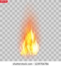 Realistic burning fire flames vector effect with transparency for design. Trail of fire.Burning flames translucent elements special Effect.