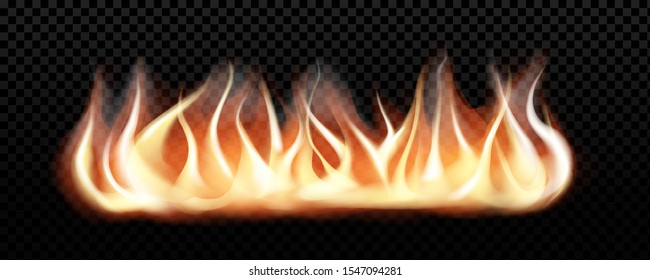 Realistic burning fire flames, vector effect for design. Transparent  black background.
