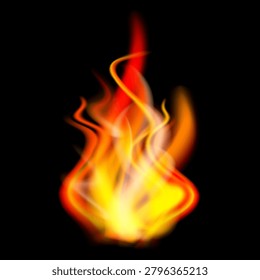 Realistic burning fire. Vector object on dark background