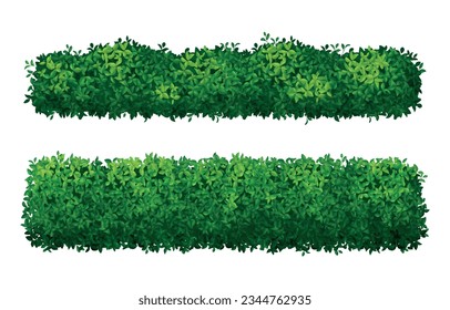 Realistic bushes green hedges set isolated on white background vector illustration