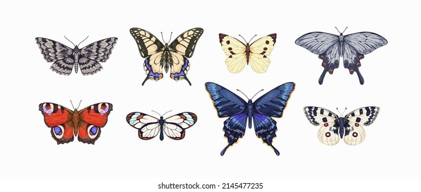 Realistic butterflies drawings set. Different moths species drawn in vintage style. Flying insects with wings. Beautiful Apollo, swallowtail. Retro vector illustrations isolated on white background