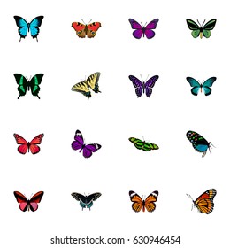 Realistic Butterflies. Green Peacock, Azure Peacock, Purple Monarch And Other Vector Elements. Set Of Beautiful Realistic Symbols Also Includes Green, Purple, Fly Objects.