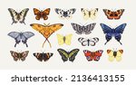 Realistic butterflies set. Flying insects, delicate moths species with multicolored wings collection. Vintage detailed drawings. Colored hand-drawn vector illustrations isolated on white background