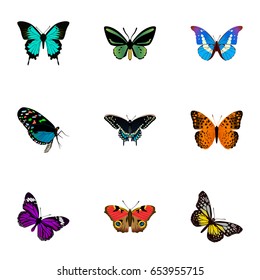 Realistic Butterfly, American Painted Lady, Danaus Plexippus And Other Vector Elements. Set Of Moth Realistic Symbols Also Includes Yellow, Monarch, Morpho Objects.