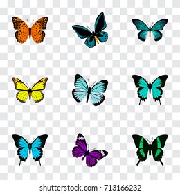 Realistic Butterfly, Danaus Plexippus, Copper And Other Vector Elements. Set Of Beauty Realistic Symbols Also Includes Butterfly, Tropical, Yellow Objects.