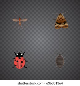 Realistic Butterfly, Dor, Ladybird And Other Vector Elements. Set Of Bug Realistic Symbols Also Includes Insect, Beetle, Ladybird Objects.