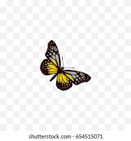 Realistic Butterfly Element. Vector Illustration Of Realistic Summer Insect Isolated On Clean Background. Can Be Used As Butterfly, Beauty And Yellow Symbols.