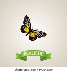 Realistic Butterfly Element. Vector Illustration Of Realistic Summer Insect Isolated On Clean Background. Can Be Used As Butterfly, Beauty And Yellow Symbols.